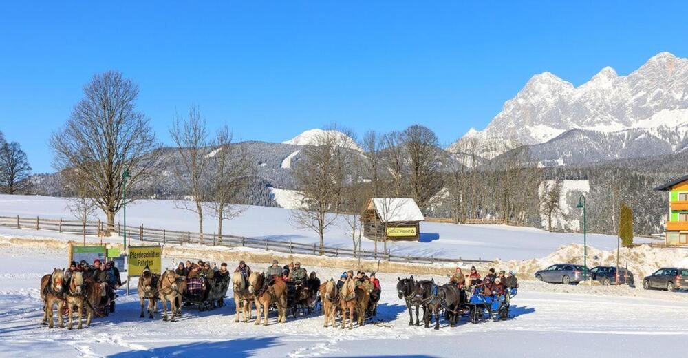 Haus Schroffenstein Daire Schladming Dış mekan fotoğraf